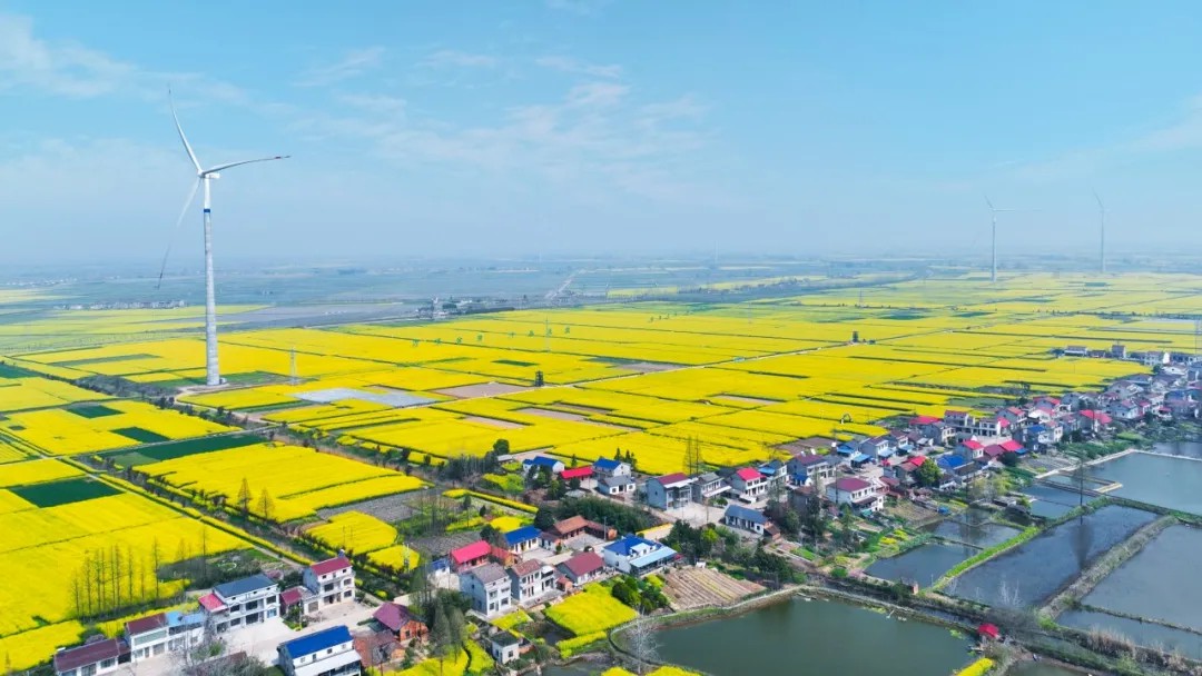 /ueditor/image/20250415/1744715834594811/9af3e543648a86620b8ba275534d652e.jpg gasfas.jpg