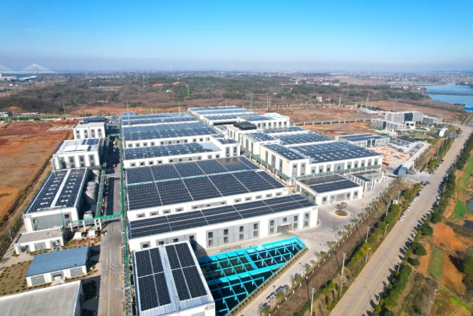 闪耀时刻 | 贝博工商业光伏再掀并网潮！